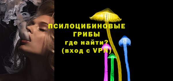 прущие крисы Каменногорск