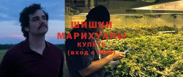 мяу мяу мука Горно-Алтайск