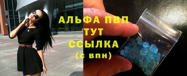 мяу мяу мука Горно-Алтайск