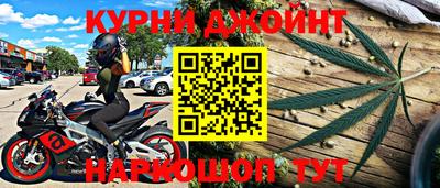 шишки Будённовск