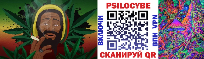 Галлюциногенные грибы GOLDEN TEACHER  магазин    Ливны 