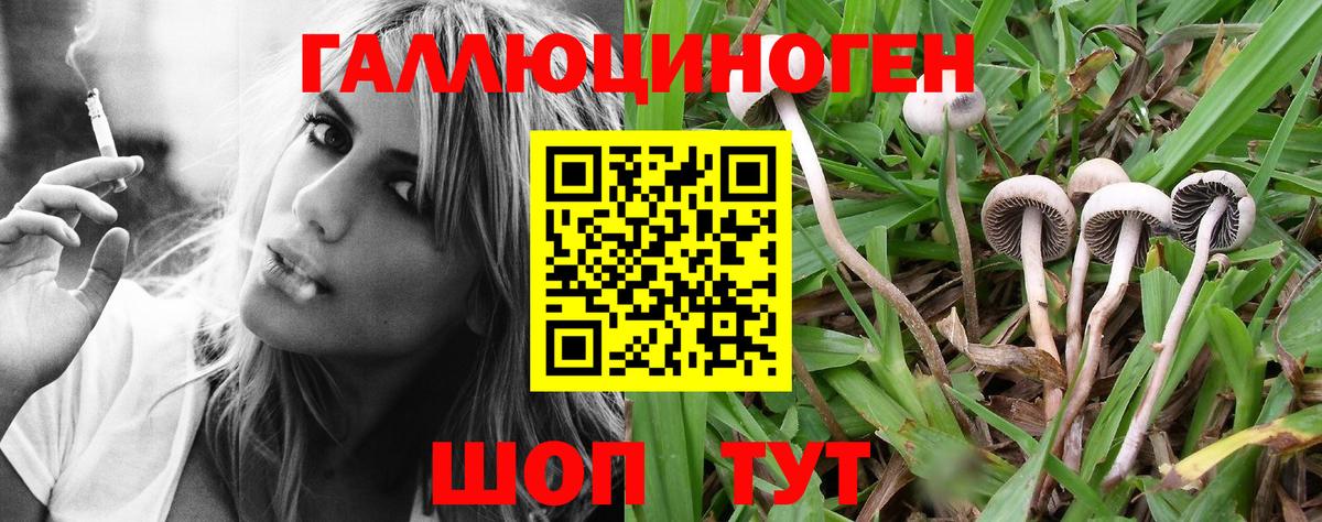 Галлюциногенные грибы мицелий Ливны