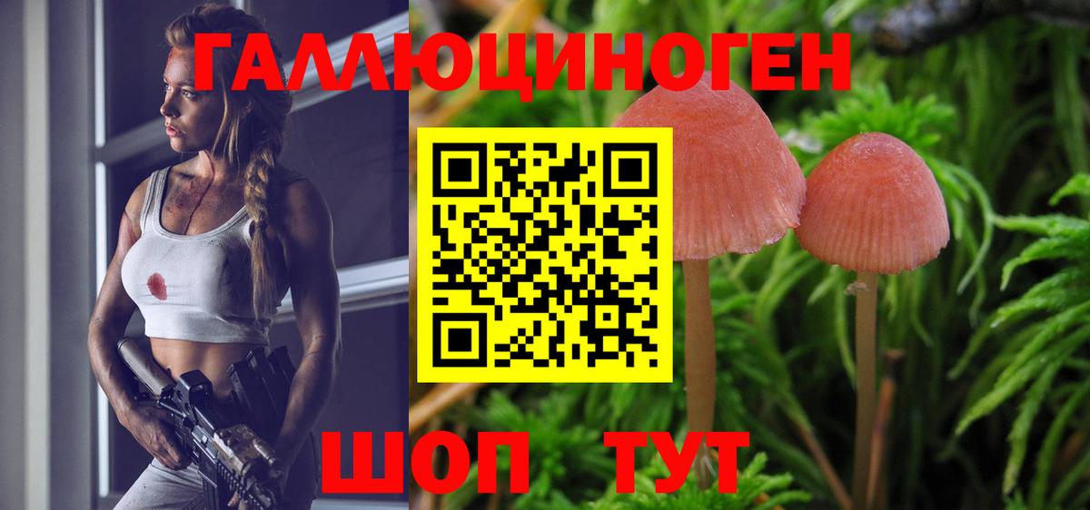 Псилоцибиновые грибы мицелий Ливны