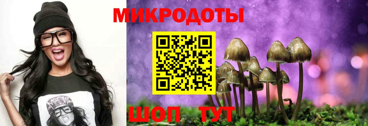 Галлюциногенные грибы прущие грибы  Псилоцибиновые грибы прущие грибы  Ливны  Вход с VPN 
